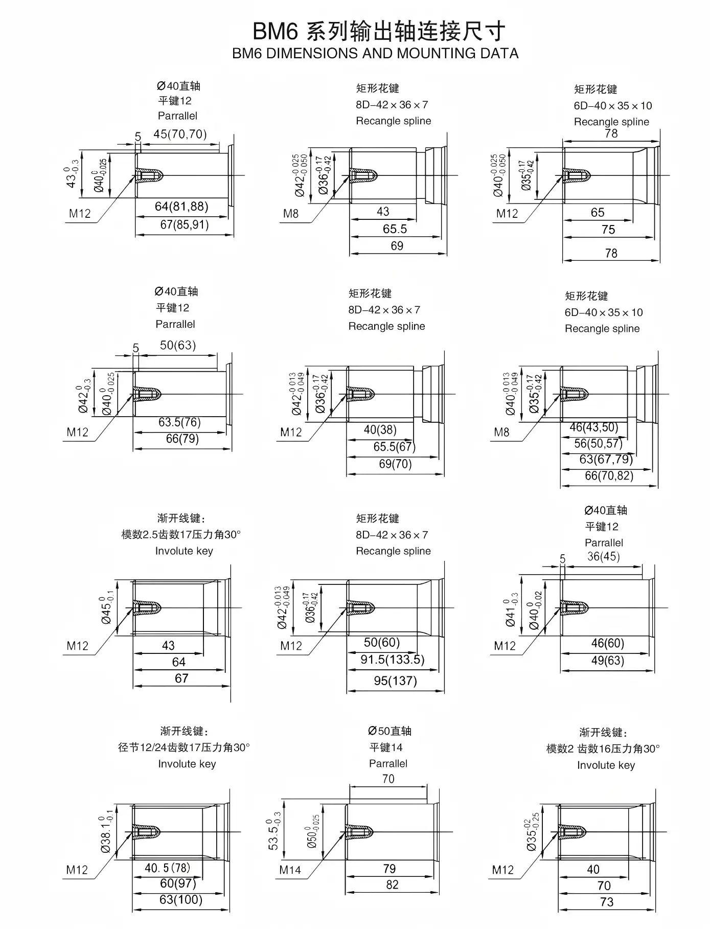OMT60006KBM6 Series Orbital Hydraulic Motor